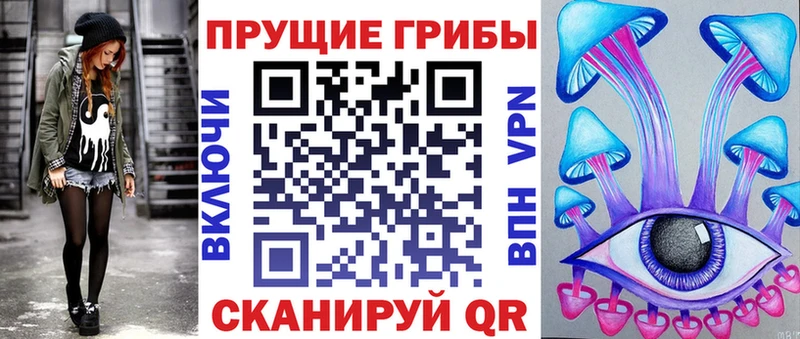 как найти наркотики  Кольчугино  Псилоцибиновые грибы Cubensis 